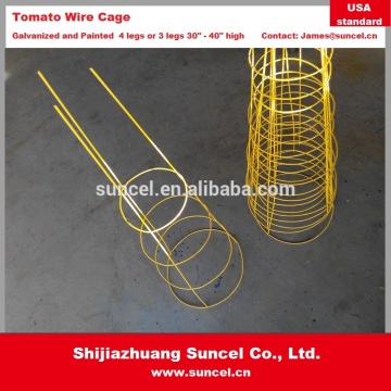 Suncel Tomato Wire Cage Galvanized and Painted
