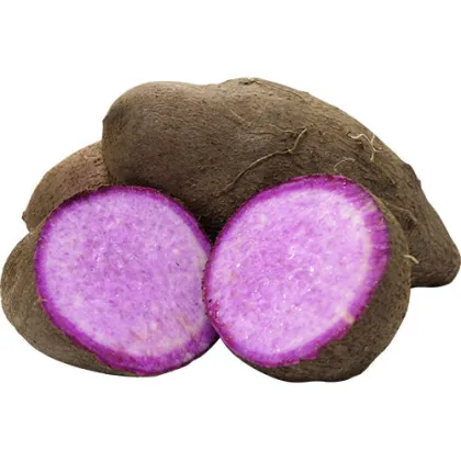 Purple Yam Powder Purple Sweet Potato Ube Powder
