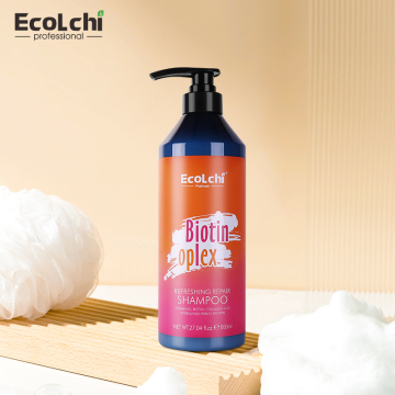 Ecolchi 800ml Biotin Argan Oil Shampoo and anti-friz