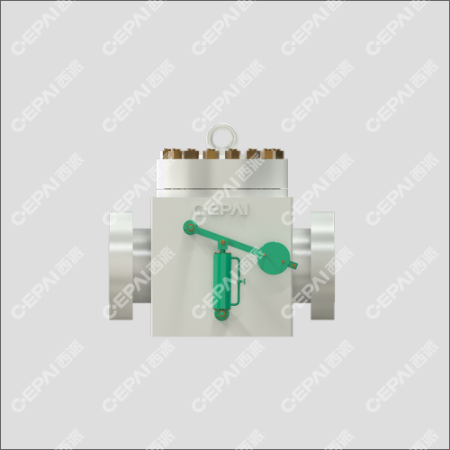 Swing check valve