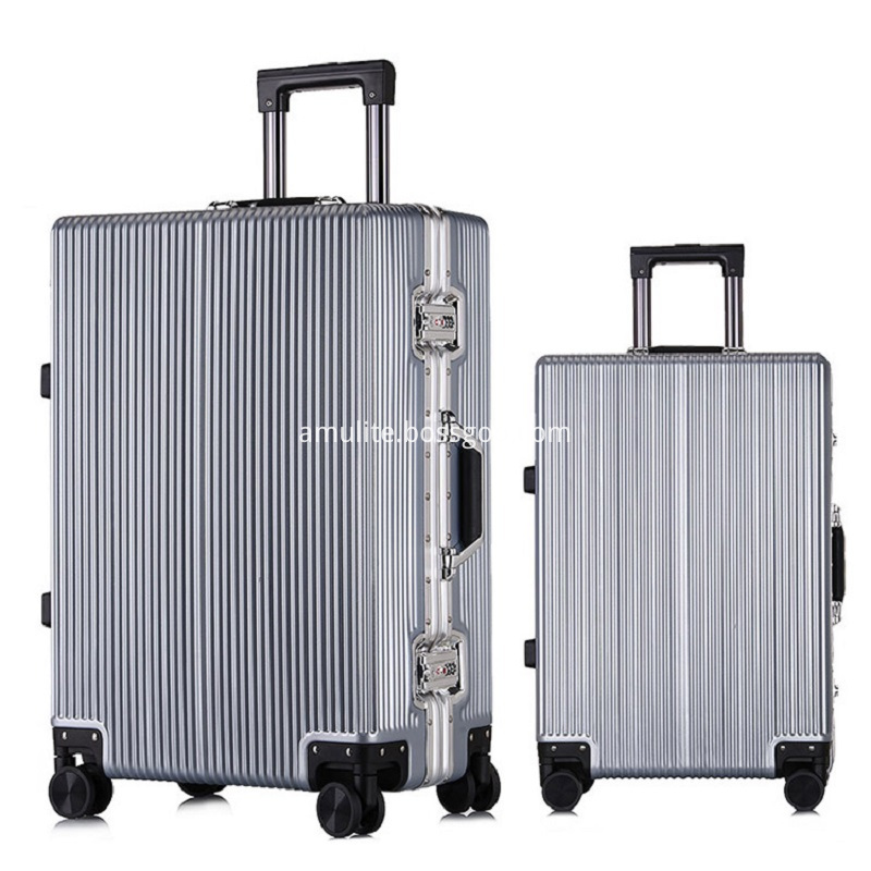 Silvery Luggage