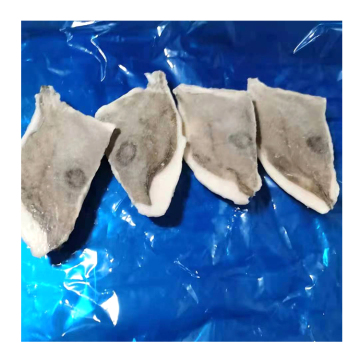 New Arrival Good Quality Frozen Seafood Products John Dory Fillets With Vacuum Packing