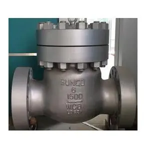 Class 1500 check valve 6 Inch