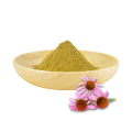 โพลีฟีนอล Echinacea Glycosides Echinacea Purpurea Extract