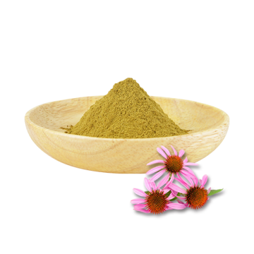 Polyphenols Echinacea Glycosides Echinacea Purpurea Extract