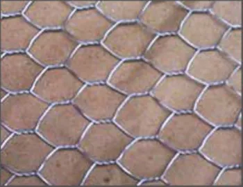 Hexagonal wire mesh