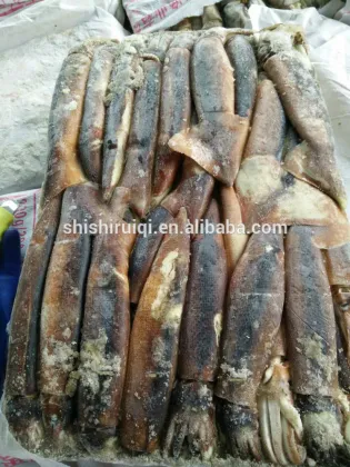 sea frozen illex squid