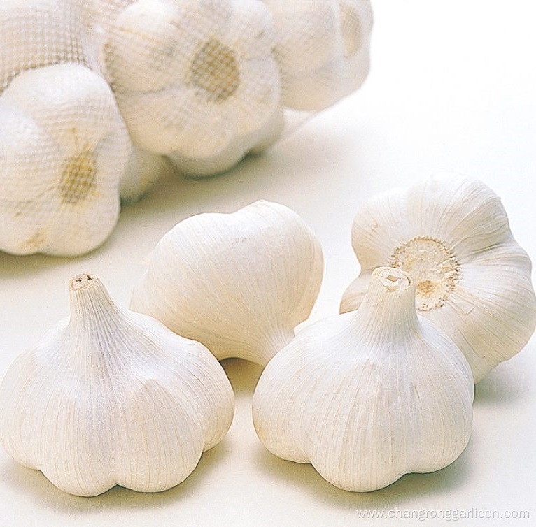 Farm Wholesale Dried Whole Garlic Price