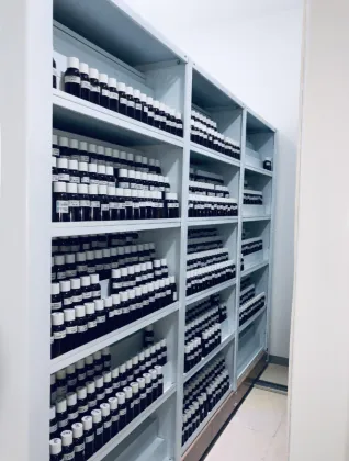 wholesale Body antiperspirant deodorant stick use flavor