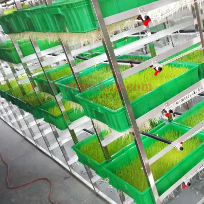 Solar-Powered Hydroponic Barley Fodder Growing System for Dairy Farms