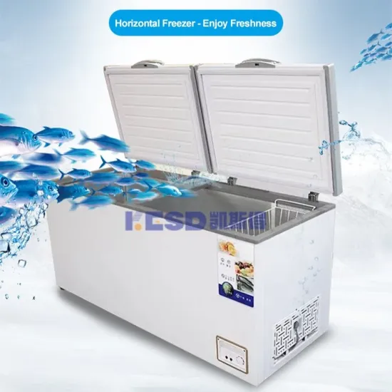 Fridge Home Use Freezer 570L Refrigerator for Fish Vegetable Fruit Storage