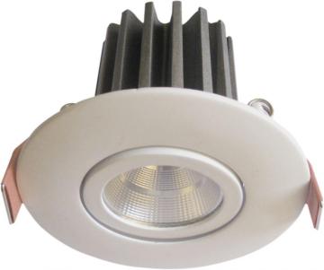 9W LED Ceiling Light