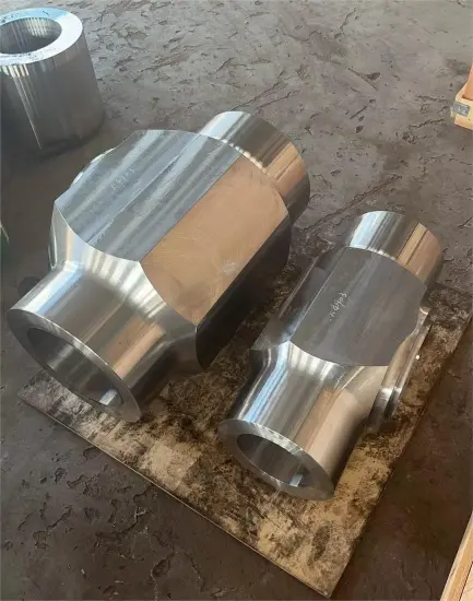 F91 Forging Valve Body