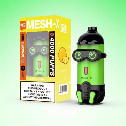 TYPE-C Recharging Mesh-X 4000Puffs Disposable Vape