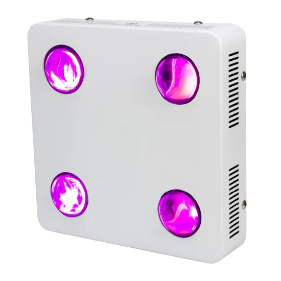 100w, 200w, 300w,400w, 600w, 800w, 900w, 1000w, full spectrum COB 600w led grow light