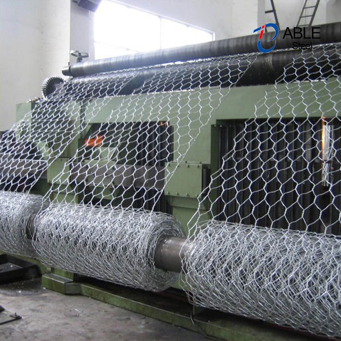 Gabion mesh