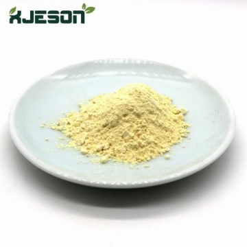 Organic Mangiferin Powder Supporting Immune Health