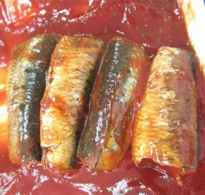 Canned Pilchard Sardine Fish