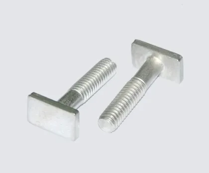 Stainless Steel T Head Bolts