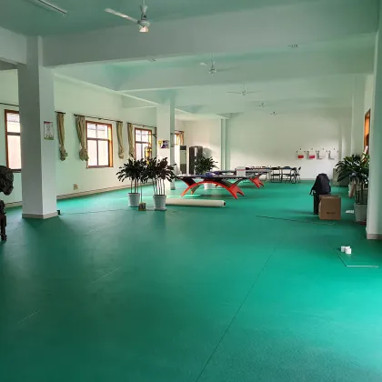PVC Table tennis floor Table tennis with ITTF