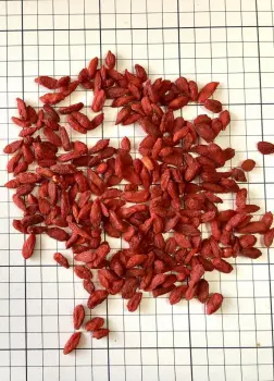 Dried Goji Berry