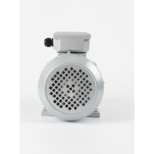 220V ac motor
