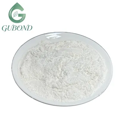 Lactobacillus bulgaricus Freeze-Dried Probiotic Powder