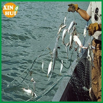 fishing net trap