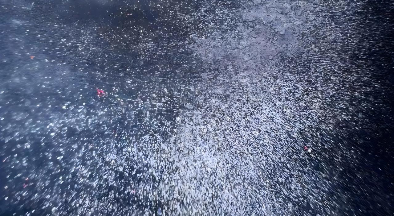 Tela de terciopelo para recinto que muestra una dispersión de luz difusa