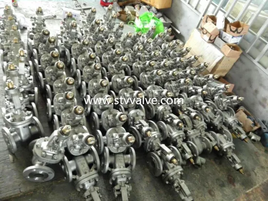 Flanged RF Stainless Steel Gate Valve, DN80, PN16