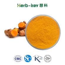 95% Curcumin organischer Kurkuma curcuma longa Extraktpulver