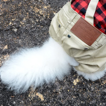 Ropa de mascotas guardones pantalones mono pequeño