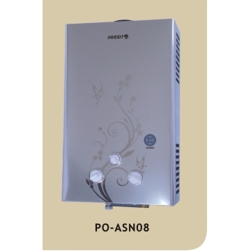 Stainless Steel Gas Water Heater