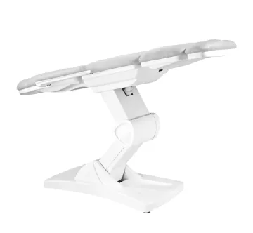 Multifunctional electric beauty bed