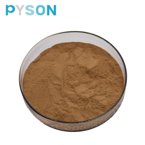 High Quality rosehip extract powder 30