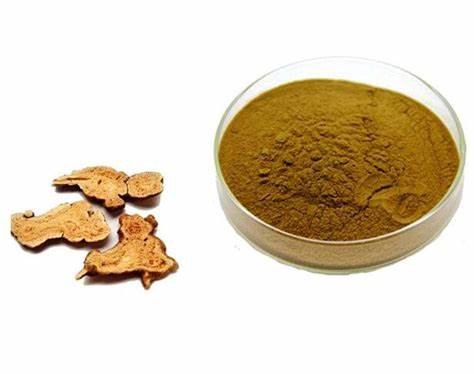 Plant extract Atractylodes extract