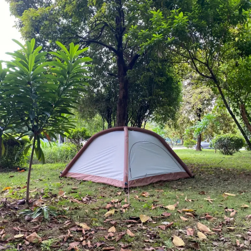 Quick-Setup Customizable Foldable Tent