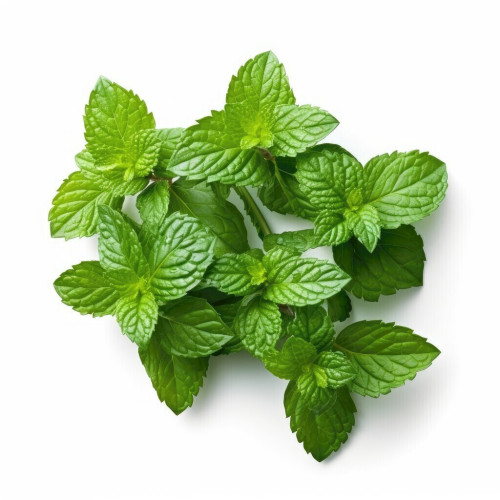 pure peppermint extract powder