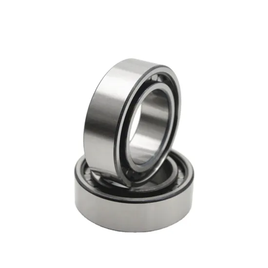 SHJZ Bearing SL18-2205 Full Complement Cylindrical Roller Bearing