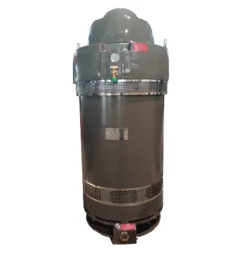 Deep Well VHS Vertical Hollow Shaft Three Phase Motor: Specifications, Applications, and Selection Guide