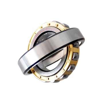 Barrel-shaped and Spherical Roller Bearings 20240 Single Row