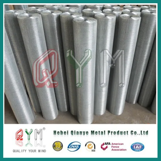 PVC Coated Welded Wire Mesh Roll/ Welded Wire Mesh Roll Prices