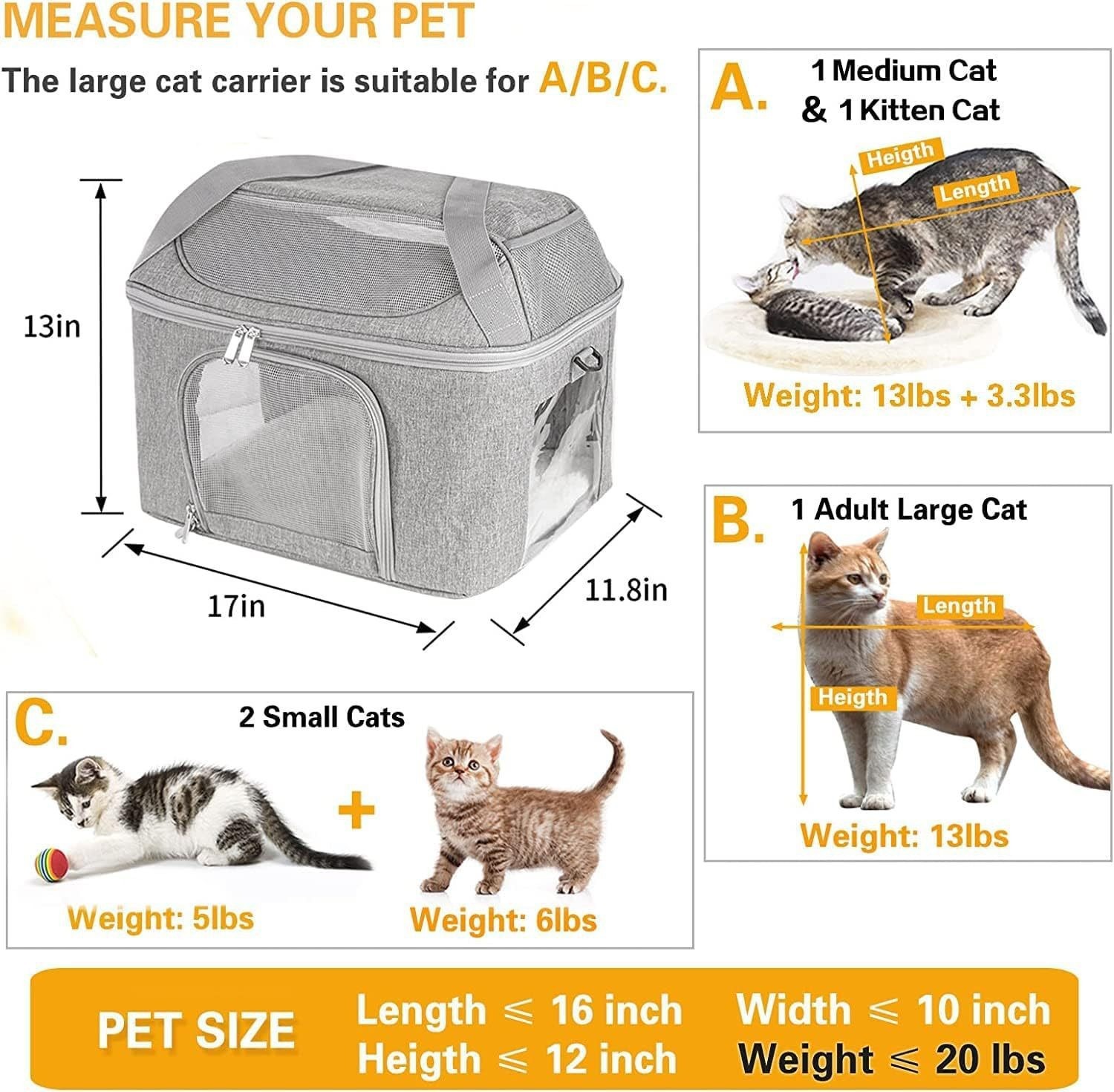 1-X-pet