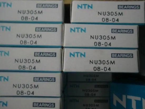 P5 P6 Single Row Ntn Roller Bearings , Nu 305 M Cylindrical Ball Bearing