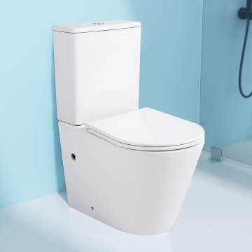 Dual Flush Rimless Standing Bathroom Toilet Suite