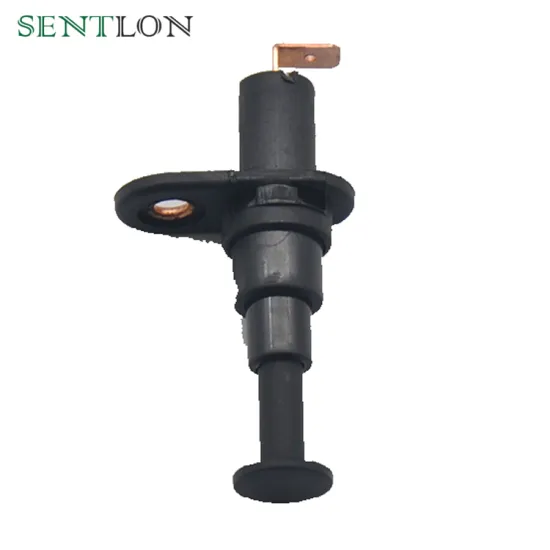 20A 12VDC Car Side Door Pin Switch