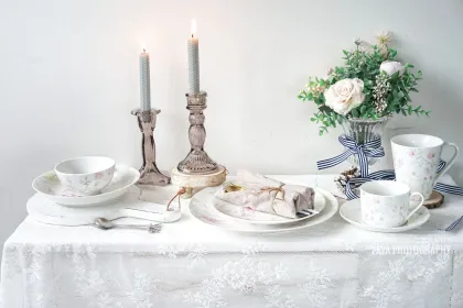 Ceramic illustration style Western tableware