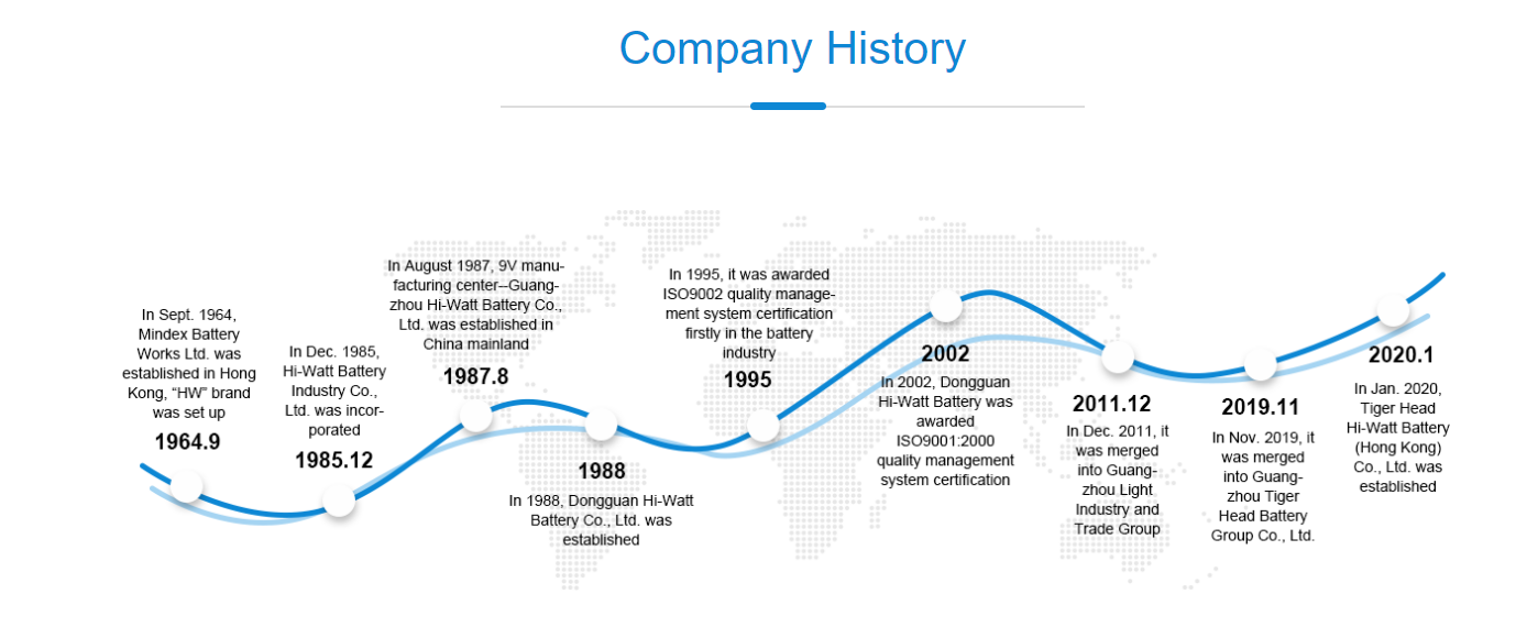company-history