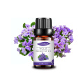 Melhor preço violeta de óleo essencial para difusor de aroma