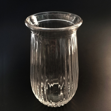 Clear Glass Vase Tall Wild Mouth Vase